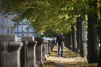 Повседневная жизнь в Петербурге