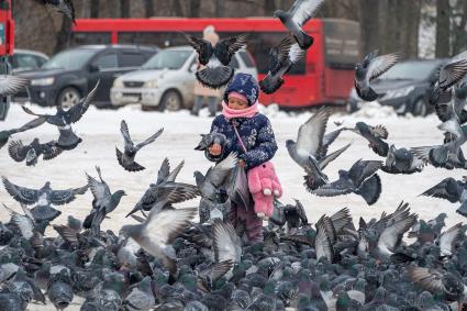 Девочка кормит голубей