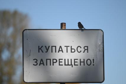 Золотая осень в Петербурге