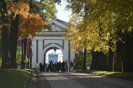Золотая осень в Петербурге