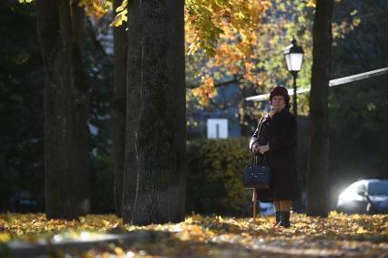 Золотая осень в Петербурге