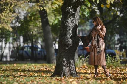 Золотая осень в Петербурге