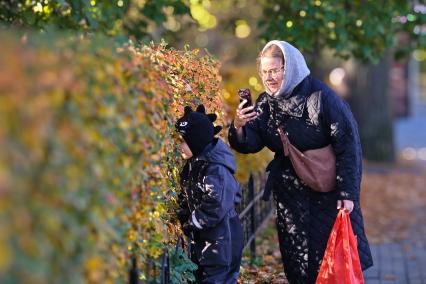 Золотая осень в Петербурге