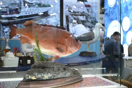 Международный рыбопромышленный форум и выставка Seefood Expo Russia в Санкт-Петербурге