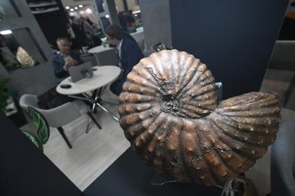 Международный рыбопромышленный форум и выставка Seefood Expo Russia в Санкт-Петербурге