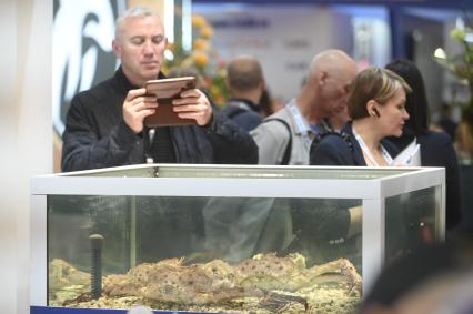 Международный рыбопромышленный форум и выставка Seefood Expo Russia в Санкт-Петербурге