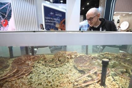 Международный рыбопромышленный форум и выставка Seefood Expo Russia в Санкт-Петербурге