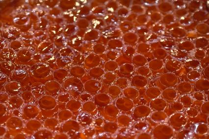 Международный рыбопромышленный форум и выставка Seefood Expo Russia в Санкт-Петербурге