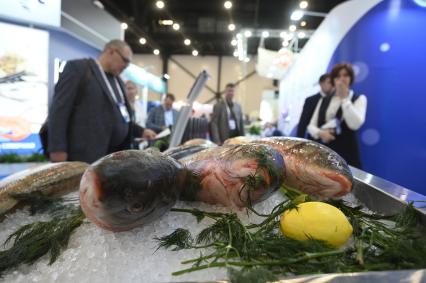 Международный рыбопромышленный форум и выставка Seefood Expo Russia в Санкт-Петербурге
