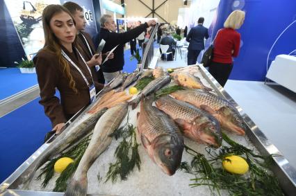 Международный рыбопромышленный форум и выставка Seefood Expo Russia в Санкт-Петербурге