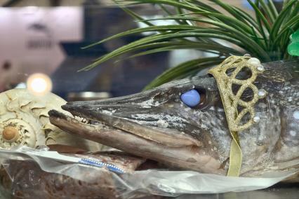 Международный рыбопромышленный форум и выставка Seefood Expo Russia в Санкт-Петербурге