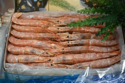 Международный рыбопромышленный форум и выставка Seefood Expo Russia в Санкт-Петербурге