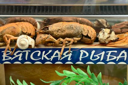 Международный рыбопромышленный форум и выставка Seefood Expo Russia в Санкт-Петербурге