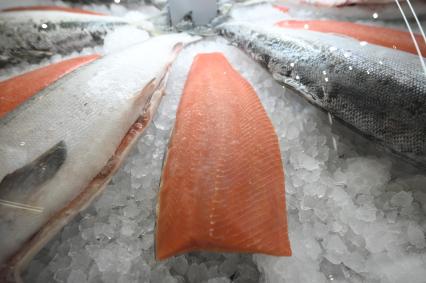 Международный рыбопромышленный форум и выставка Seefood Expo Russia в Санкт-Петербурге