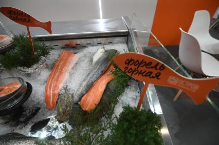 Международный рыбопромышленный форум и выставка Seefood Expo Russia в Санкт-Петербурге