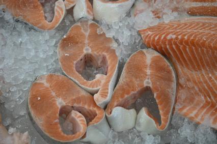 Международный рыбопромышленный форум и выставка Seefood Expo Russia в Санкт-Петербурге