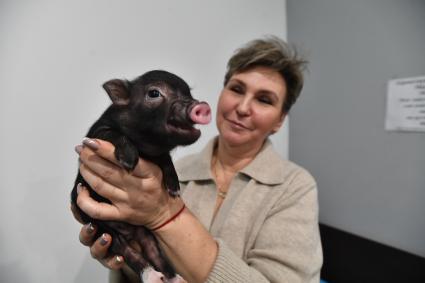 Антикафе с минипигами для взрослых и детей Minipig