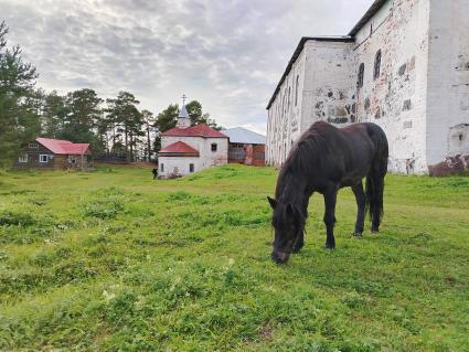 Кий - остров в Белом море