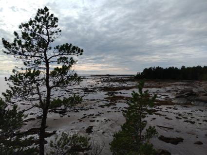 Кий - остров в Белом море