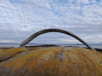 Кий - остров в Белом море
