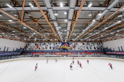 Новогодняя тренировка хоккейной команды Викинги\" в Челябинске