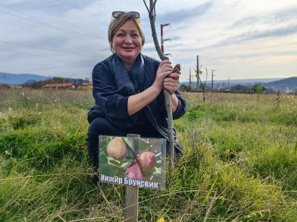 В Сочи разбивают плантации для выращивания экзотических фруктов