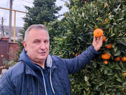 В Сочи разбивают плантации для выращивания экзотических фруктов