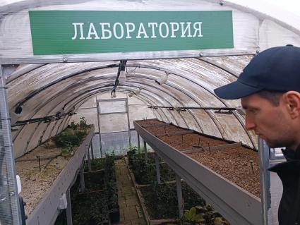 В Сочи разбивают плантации для выращивания экзотических фруктов