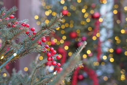 Новый год в Красноярске