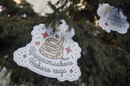 Новый год в Красноярске