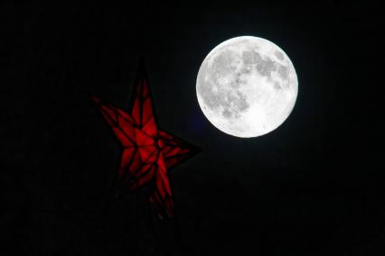 Бобровая луна\" в Москве