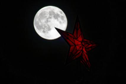 Бобровая луна\" в Москве