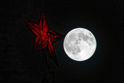 Бобровая луна\" в Москве