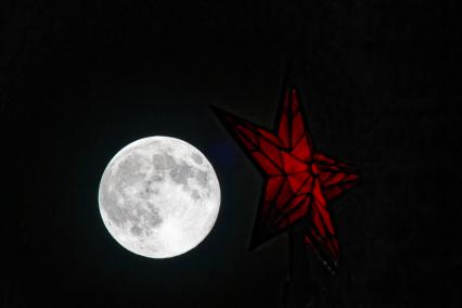 Бобровая луна\" в Москве