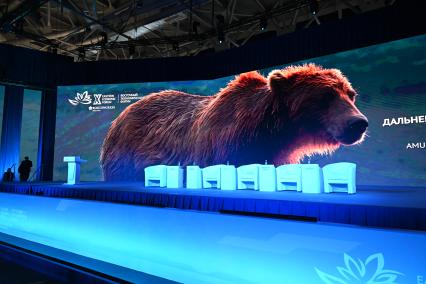 Восточный экономический форум 2025