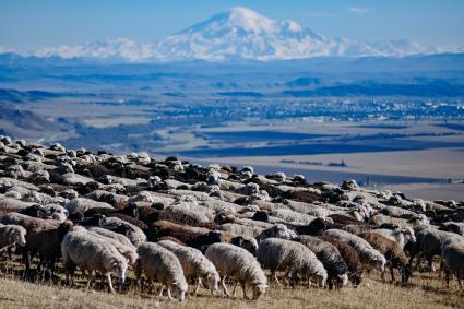 Карачаево-Черкесская Республика
