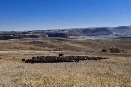 Карачаево-Черкесская Республика