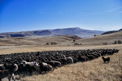 Карачаево-Черкесская Республика