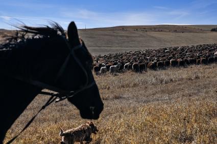 Карачаево-Черкесская Республика