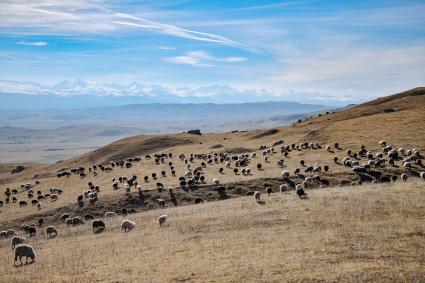 Карачаево-Черкесская Республика