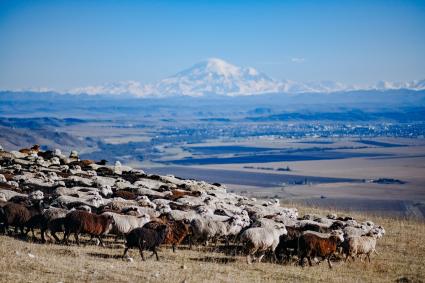 Карачаево-Черкесская Республика