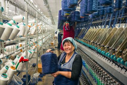 Фабрика по переработке овечьей шерсти и выпуску пряжи в Карачаево-Черкессии