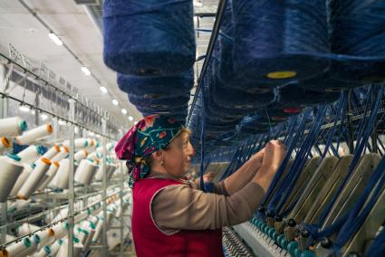 Фабрика по переработке овечьей шерсти и выпуску пряжи в Карачаево-Черкессии