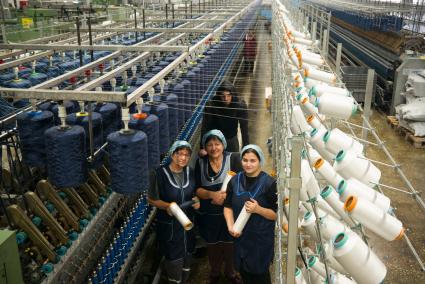 Фабрика по переработке овечьей шерсти и выпуску пряжи в Карачаево-Черкессии