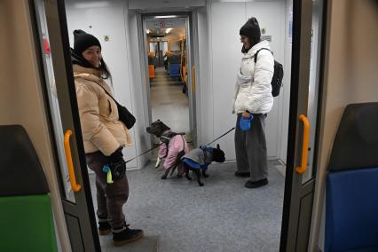 Девушки с собаками в электричке
