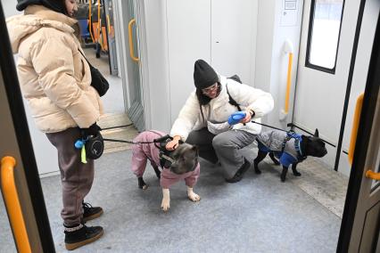 Девушки с собаками в электричке