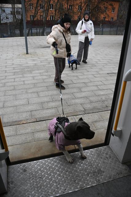 Девушки с собаками