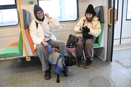 Девушки с собаками в электричке