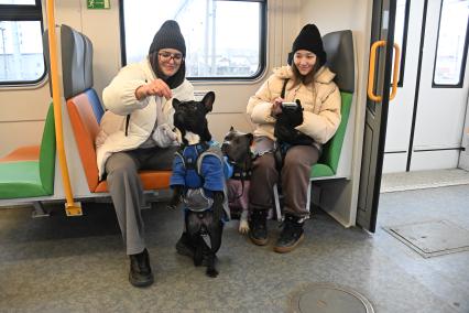 Девушки с собаками в электричке