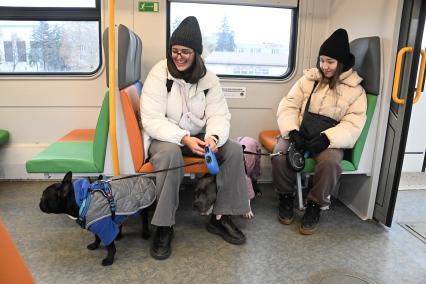 Девушки с собаками в электричке